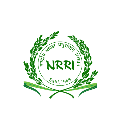 NRRI Recruitment 2021 | Apply Here
